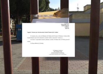 I genitori di Su Planu esasperati scrivono al sindaco di Selargius: “Ora basta, il problema dei topi va affrontato in tutto il quartiere”