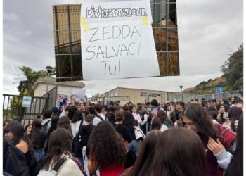 Cagliari, al De Sanctis-Deledda gli studenti tutti in piazza: e parte la segnalazione topi