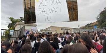 Cagliari, al De Sanctis-Deledda gli studenti tutti in piazza: e parte la segnalazione topi