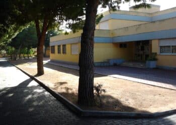 Cagliari, i topi sono un’emergenza vera in tutta la città metropolitana: chiusa ancora la scuola di Su Planu