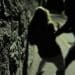 Shock a Sestu, donna aggredita in strada da un uomo col volto coperto da una maschera