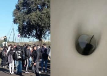 Scuole infestate dai topi, studenti ancora in sciopero a Cagliari: è emergenza anche nell’hinterland
