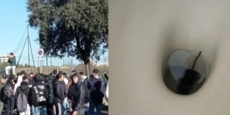 Scuole infestate dai topi, studenti ancora in sciopero a Cagliari: è emergenza anche nell’hinterland