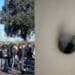 Scuole infestate dai topi, studenti ancora in sciopero a Cagliari: è emergenza anche nell’hinterland