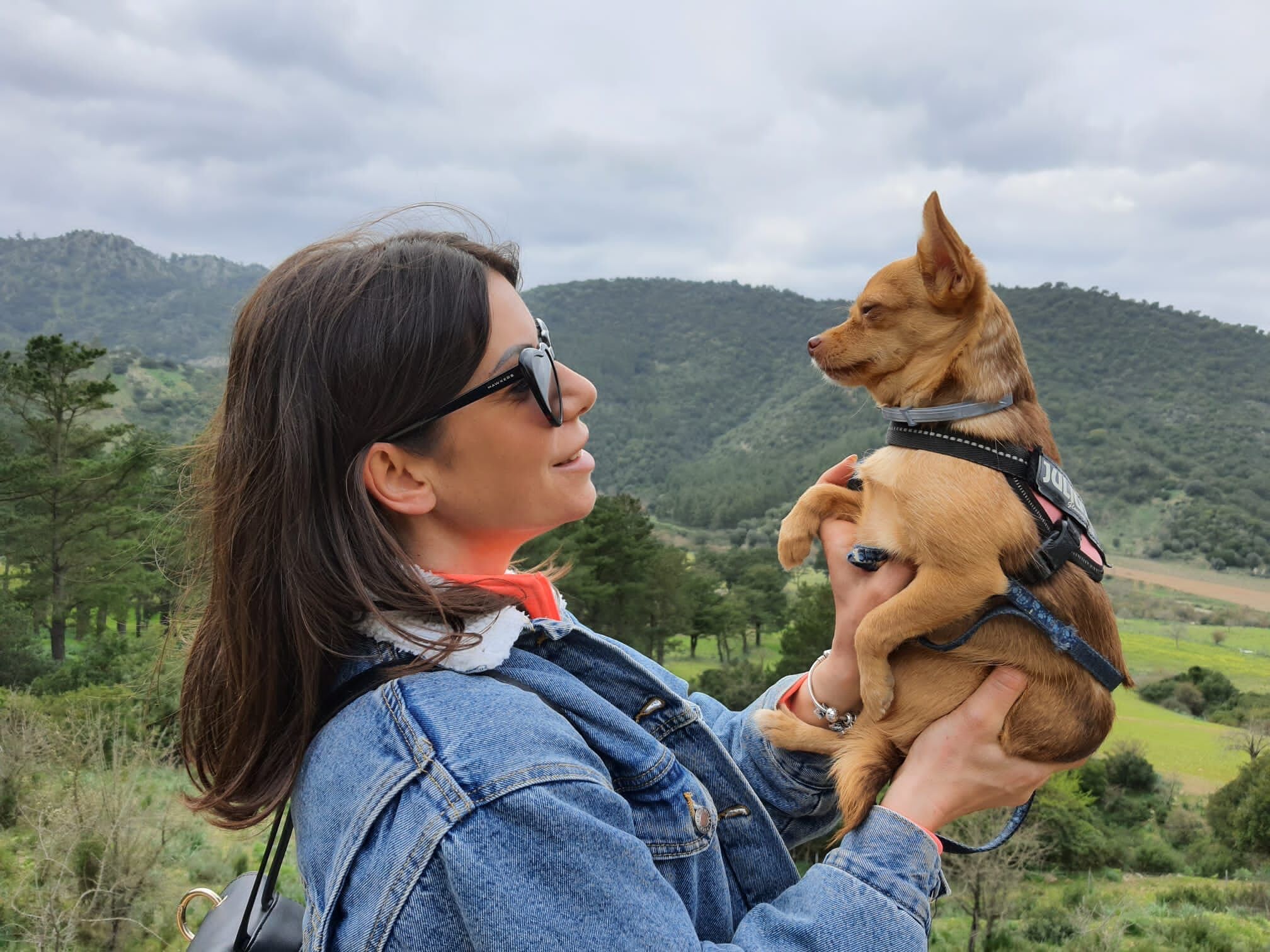L sos Di Una Volontaria Cagliaritana Pagina Instagram Disabilitata 